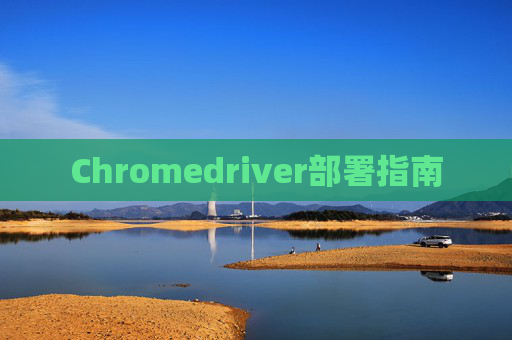 Chromedriver部署指南